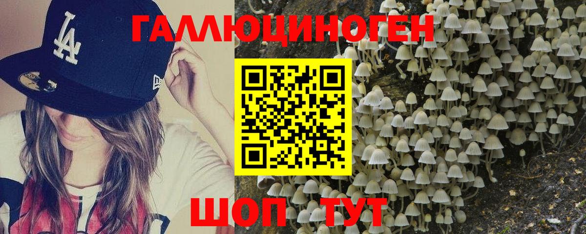 Галлюциногенные грибы Psilocybine cubensis  Вход с VPN  Люберцы  Галлюциногенные грибы прущие грибы 