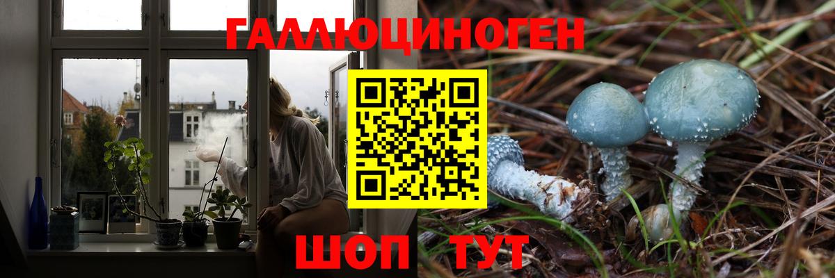 Псилоцибиновые грибы мицелий Люберцы